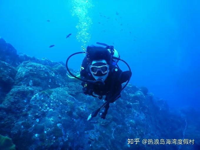 杰茜的欢乐时光